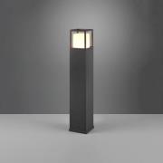 LED-pylväsvalaisin Witham, korkeus 80 cm, antrasiitti, CCT, IP54