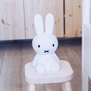 Mr Maria Miffy ladattava valaisin First Light, 30 cm