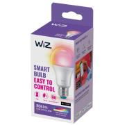 WiZ A60 LED-valaisin matta WiFi E27 8.5W RGBW