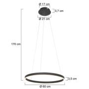 LED-riippuvalaisin Ringlux Ø60 cm, 2 lamppua musta