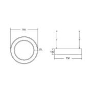 BRUMBERG Biro Circle Ring suora 75cm 50W on/off hopea 830