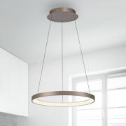 Paul Neuhaus LED-riippuvalaisin Hoop, ruskea, Ø 57 cm, himmennettävä