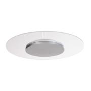 Zaniah LED-kattovalaisin, 360° valo, 24W, hopea