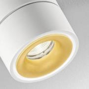 Egger DLS LED-valonheitin Clippo Duo, valkokultainen, 3000K