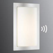 Ulkonurkkavalaisin Luis, ruostumaton teräs, liiketunnistin