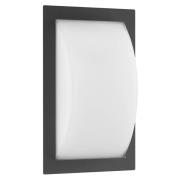 Ivett LED-ulkoseinävalaisin, grafiitti, liiketunnistin