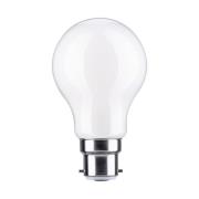 Paulmann-LED-lamppu B22d A60 9W 2700K opaali him.