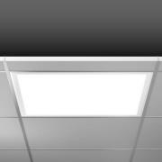 RZB Sidelite Eco LED-paneeli DALI 62,2cm 29W 830