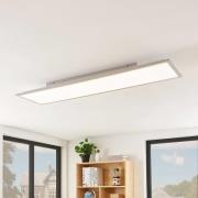 Lindby LED-paneeli Stenley, 4000 K, 120 cm x 30 cm, hopea/valkoinen