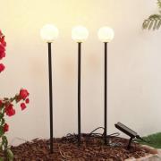 Lindby aurinkokäyttöinen LED-valaisin Brindley, 3 kpl, musta, lasi