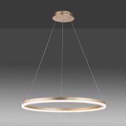 Paul Neuhaus LED-riippuvalaisin Titus, Ø 80 cm, messinkiä, himmennettä...