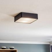 Oro kattovalaisin teräksestä ja lasista, musta, 25cm