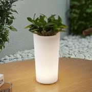 Lindby LED-ladattava kukkamaljakko Florista, RGB, IP54, Ø 12cm, valkoi...