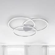 Paul Neuhaus Q-KATE -LED-kattovalaisin