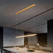 Quitani Talon LED-riippuvalaisin messinki anodisoitu 24W