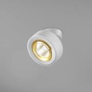 Egger DLS LED-valonheitin Clippo Optic, valkoinen/kulta, Ø 12 cm, DTW