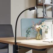 Lindby klipsivalaisin Jyla, musta, linssi, 4200K, GX53