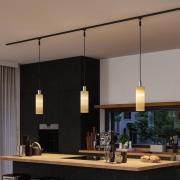 Paulmann URail-varjostin Vitus 2Easy, puu, Ø 11 cm