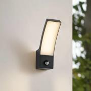 Lindby LED-ulkoseinävalaisin Ilvita, sensori, antrasiitti, IP54