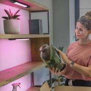 OSRAM LED-kaapinalusvalaisin Linear Edge Sensor RGBW 30 cm musta