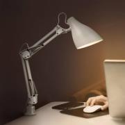 OSRAM klipsivalaisin Office Line Desk Pear Clip, valkoinen, E27