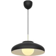 Latif-riippuvalaisin, musta - DFTP