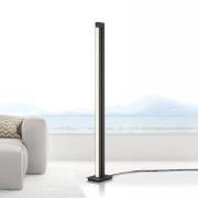 LED-lattiavalaisin PURE Lines, antrasiitti, kaukosäädin, 140 cm