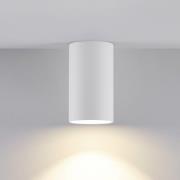 Alasvalo CAN, valkoinen, IP20, Ø 6 cm, metalli, GU10