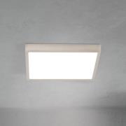 LED-kattovalaisin Disc, nikkelivärinen satiinipinta, pituus 24 cm CCT