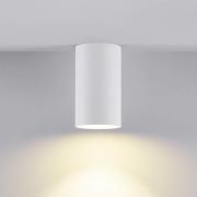 Alasvalo CAN, valkoinen, IP44, Ø 6 cm, metalli, GU10