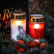 STERNTALER LED-hautavalaisin, punainen, korkeus 12 cm, IP44, paristo