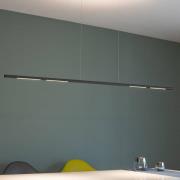 Sattler Palito Linea, 3,000K, TRIAC, 175cm musta