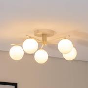 Prato kattovalaisin, kerma, lasi, 5 valoa