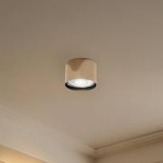 Kattokohdevalo Chloe kiinteä, messinkivärinen teräs