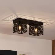 Piedritas kattovalaisin, kaksi mustaa neliön muotoista varjostinta