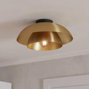 Kattovalaisin Cenciara harjattua messinkiä