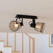 Kattospotti Anwick 1 teräs/rottinki, 2-lamppuinen