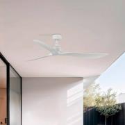 Kattotuuletin Outwood, valkoinen, DC, hiljainen, Ø 150 cm, IP44