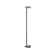 LED-lattiavalaisin Mora, antrasiitti, korkeus 178 cm, metalli
