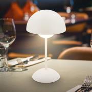 LED-akkukäyttöinen pöytävalaisin Kugle, valkoinen, metalli, IP44, himm...