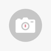 Toru Riippuvalaisin Small 1 Sivu Pinkki - David Trubridge