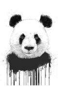 Juliste Graffiti Panda