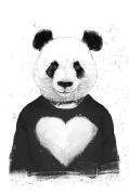 Juliste Lovely Panda