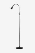 Lattiavalaisin Ledro, korkeus 101,5-124 cm