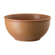 Rosenthal Thomas Clay -myslikulho 70 cl Oranssi