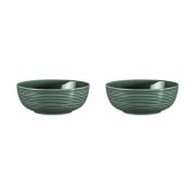 Seltmann Weiden Terra kulho Ø 20,4 cm 2-pakkaus Moss Green