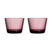 Iittala Tundra juomalasi 16 cl 2-pakkaus Kanerva