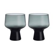 Iittala Solare lasi jalalla 29 cl 2-pack. Teräksenvärinen.