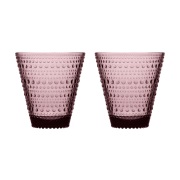 Iittala Kastehelmi juomalasi 30 cl 2 kpl Kanerva