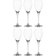 Spiegelau Special Glasses samppanjalasi 16 cl 6-pakkaus